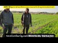 Maheshbhai mohan bhai mungpara netsurf biofit