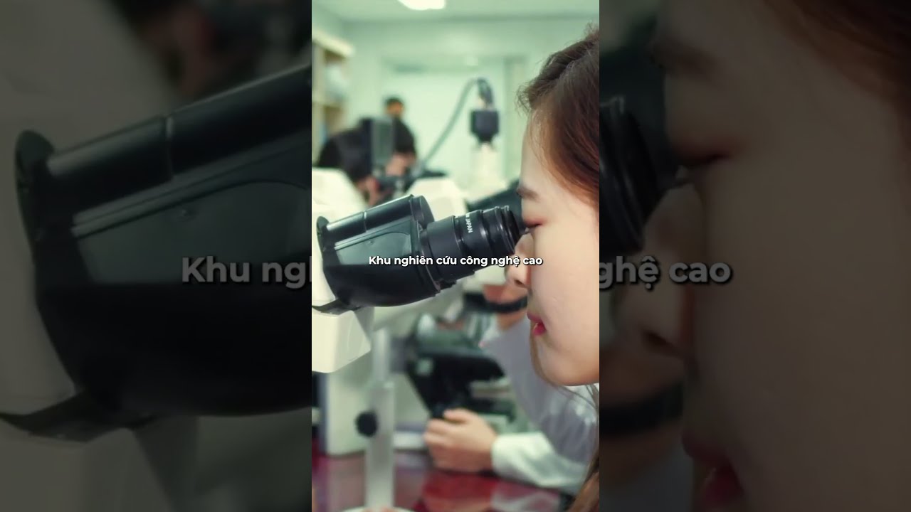 Review Trường Đại Học Yeungnam Hàn Quốc 2025 영남대학교  #duhochanquoc #duhoc #visaduhoc - youtube