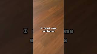 Goldie escaped from her cage and went MISSING 😭 #hamster #missinghamster