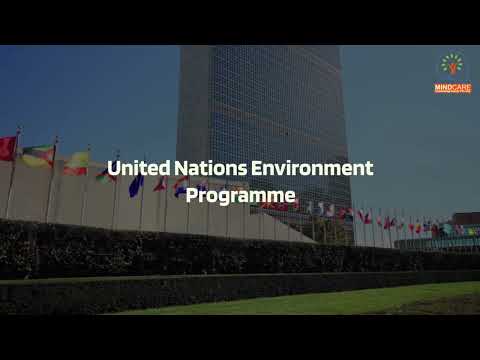 Environmental Management & Sustainability (ISO 14001) | Save Nature Save Future