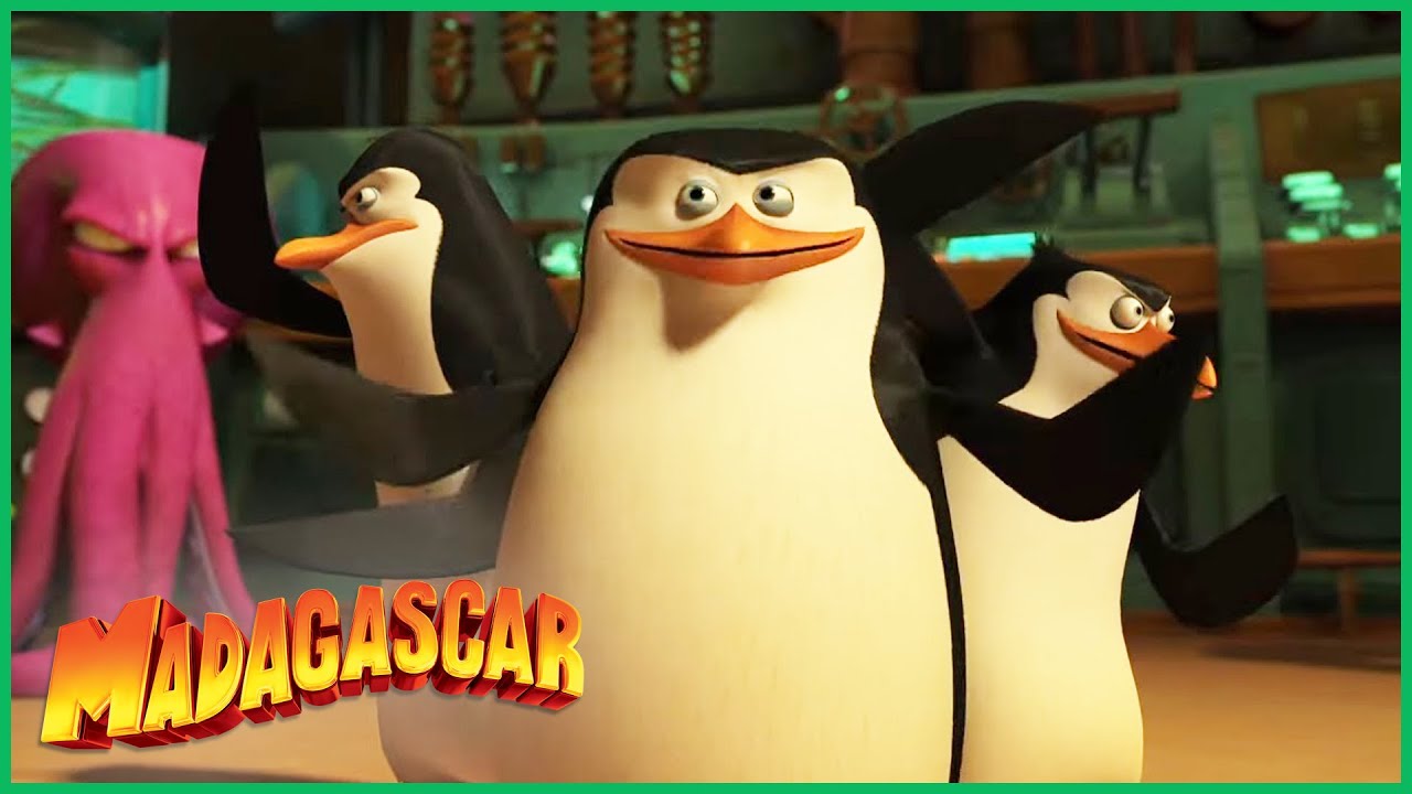 DreamWorks Madagascar em Português  | Mexeu Com os Pássaros Errados | Os Pinguins de Madagascar