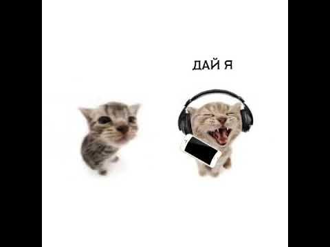 #1mms #барсучийнектар #Имморталиус #Иммортал #immortalius - YouTube