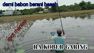 Mancing ikan nila babon disini harus berani basah basahan