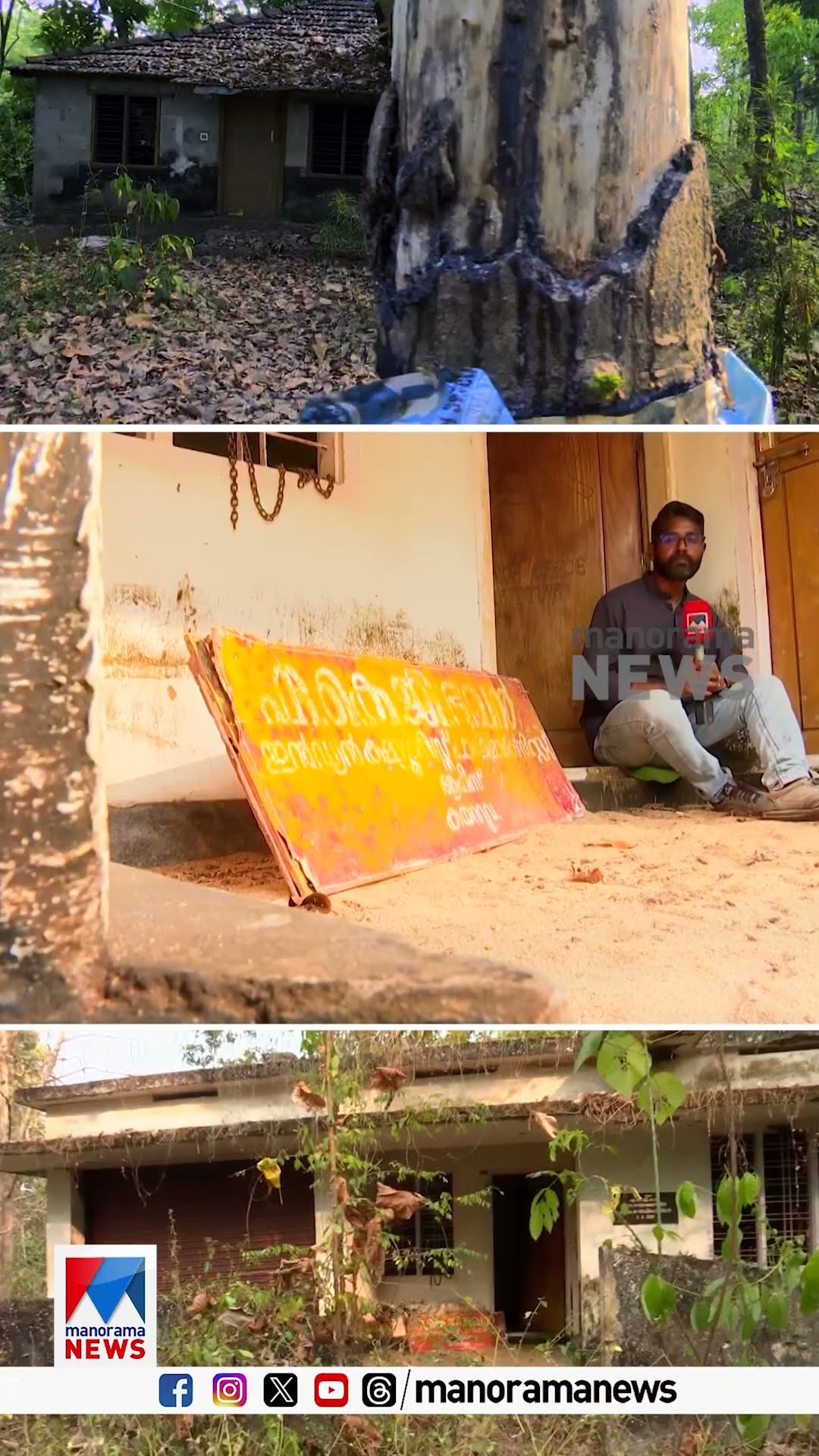 കാട്ടാന കീഴടക്കിയ ഗ്രാമം; ആനപ്പേടിയില്‍ ആളൊഴിഞ്ഞ നാടായി കയറ്റുവ #ernakulam #kayattuva #wildelephant