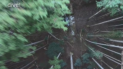 AOS5V2  T-Motor VELOX Lite F411 Stack - F411 Lite FC + V45A Lite ESC day11