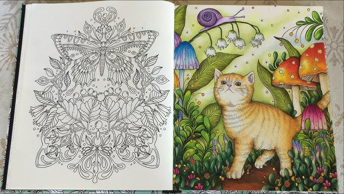 Daydreams by Hanna Karlzon adult coloring book review video 