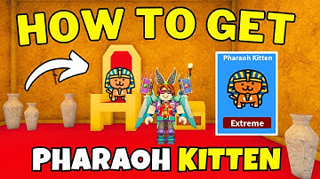 How To Get Pharaoh Kitten in Find The Kittens | Pharaoh Kitten Location | Roblox
