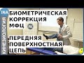 Биометрическая коррекция. МФЦ. Передняя цепь. Кинезиология. Германия