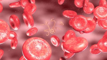 Ebola Virus    3D Animation