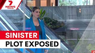 Minister claims she was used in plot against building commissioner 7NEWS
