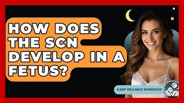 How Does The SCN Develop In A Fetus? - Sleep Wellness Workshop