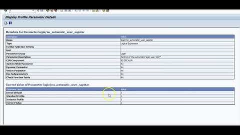 SAP CYBER SECURITY SAP* Parameter