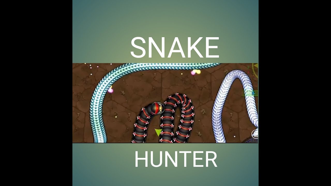 Snake hunter 
