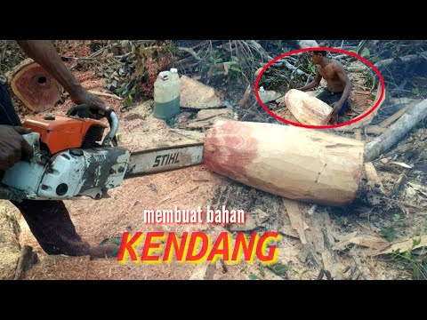 Video: Resep Brushwood. Cara Memasak Kayu Semak Dengan Senang Hati