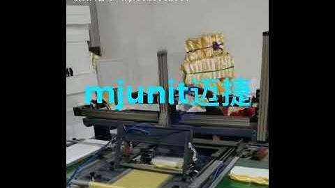 mjunit xz axis with up and down rail for dual working position belt drive linear guide way