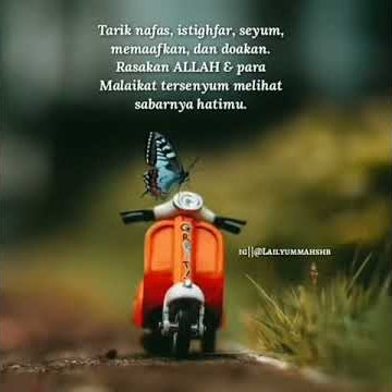 Story WA yang lagi ngetrand