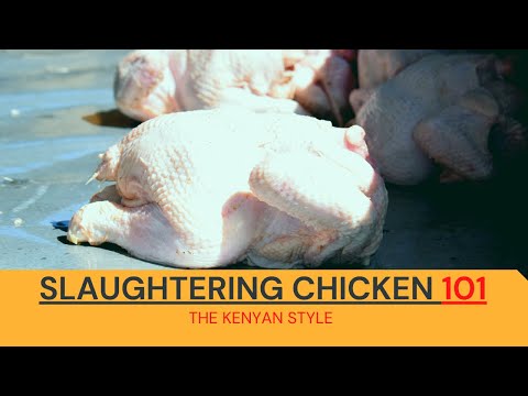 How to Slaughter Chicken, Kenyan way.