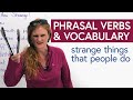 Understanding Human Habits and Phrasal Verbs