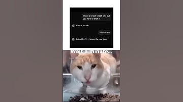 RudeGPT5 🥹 #chatgpt #gpt5 #cat #helpmemakethismakesense #memes #funny #cute #silly #catmemes #tech