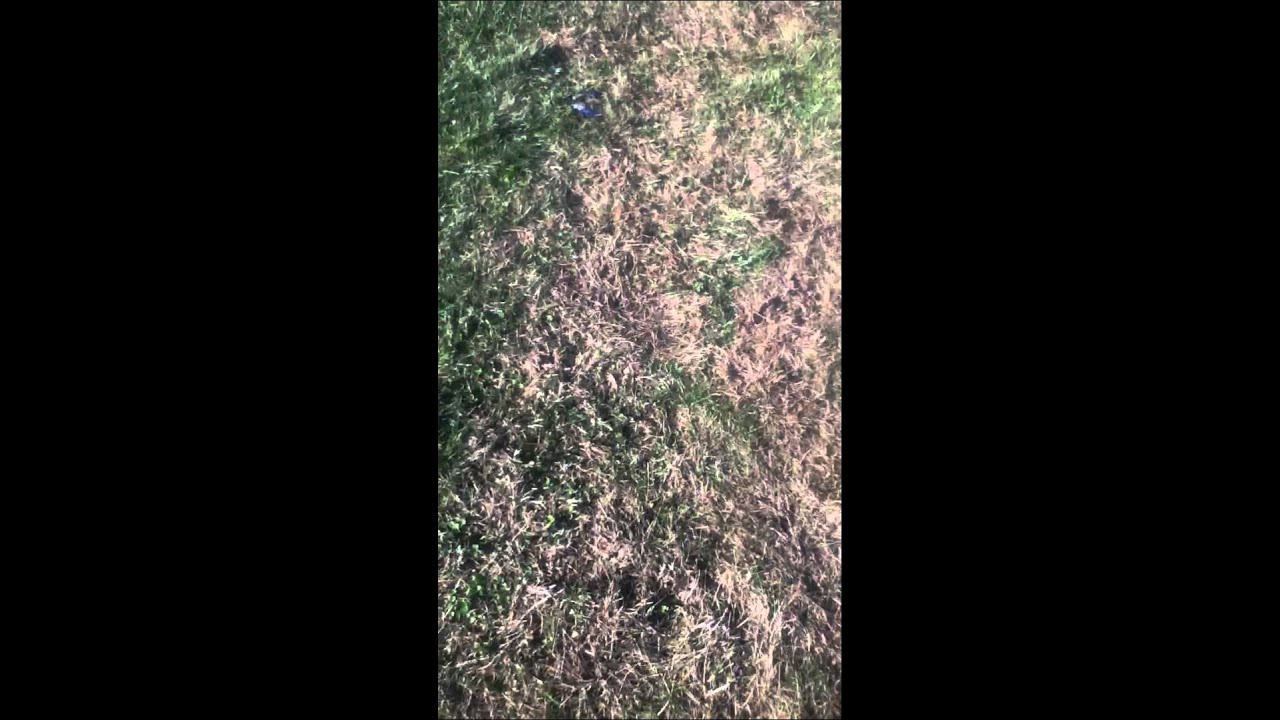 camera iphone 8 plus apk 2013 christmas inflatable set up update 1