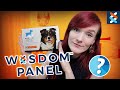 I Got My Dogs DNA Tested and these are the Results | Minty's DNA Test by Wisdom Panel 3.0