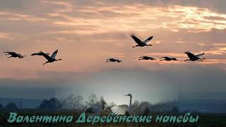 “В капле слезы“( Авторская песня Ю  Старцев. Автор клипа Валентина Деревенские напевы)