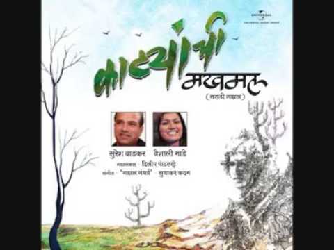 Katyanchi MakhmalMarathi Gazal