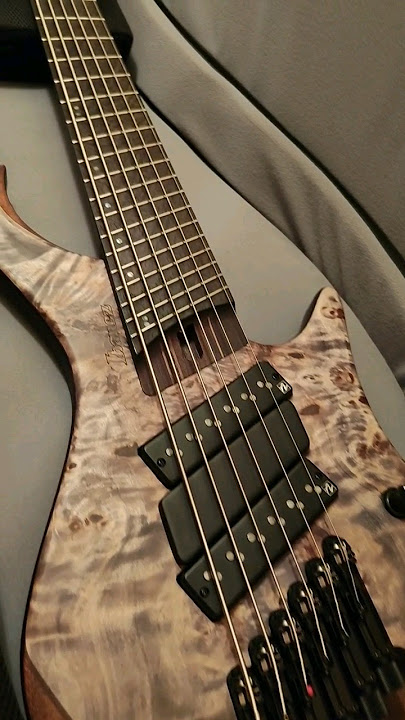 My New Bass | Ibanez EHB 1506 BIF #ibanez #ibanezbass