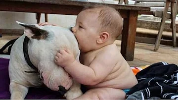 Quale cane è più adatto ai bambini?