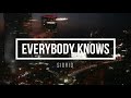 Everybody knows - Sigrid - 1 hour