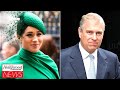 The Royal Family Criticized For Investigating Meghan Markle and Not Prince Andrew | THR News