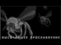 Начало и Конец [8]. Высочайшее прославление | Омар Сулейман