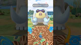 OMG! HUNDO Mamoswine from an INSANE Spawn Cluster?!