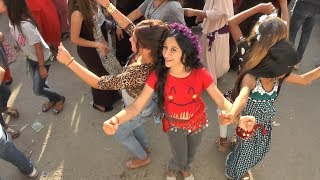 Safranbolu Gümüş Kürt Mahalesi̇ Eğlenceli̇ Bi̇r Düğün, Weddi̇ng, Part 29