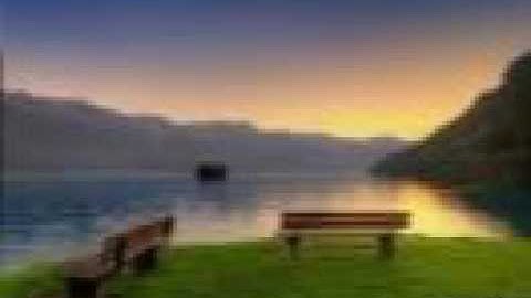 تلاوة خاشعة لسورة فصلت بصوت القارئ الشيخ فيصل الرشيد