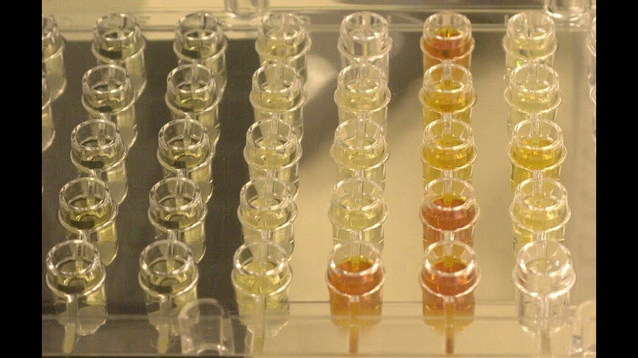 Thousands of Tennessee DUI cases in jeopardy YouTube