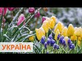 В Украине резко похолодает. Синоптики рассказали, чего ожидать от погоды в ближайшие дни