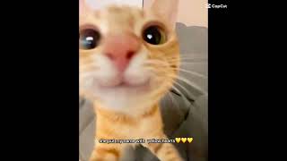 My Cheeks Jiggle When I Fart