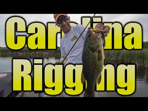 Carolina Rig Fishing: How to Rig a Carolina Rig for Laregmouth Bass