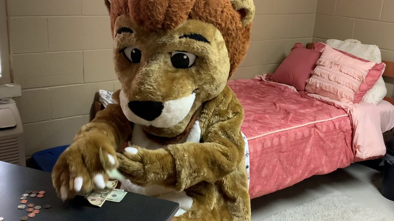 Apply for Scholarships at NCTC