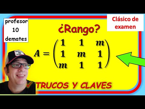 Rango de una matriz con parámetros Ejercicios resueltos clásico de examen de 2 bachillerato