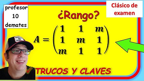 Rango de una matriz con parámetros Ejercicios resueltos clásico de examen de 2 bachillerato