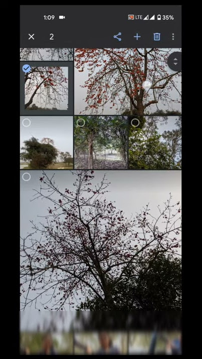 How to create a photo collage in Google Photos app