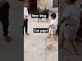 so cat paperi cat soo nice