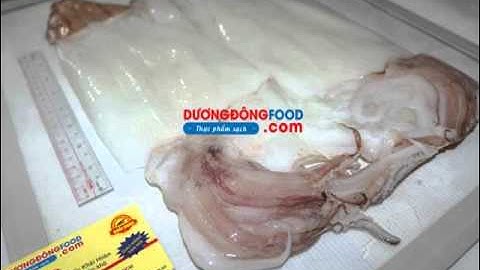 Ở đâu Mua Mực Một Nắng Tươi Ngon Nhất