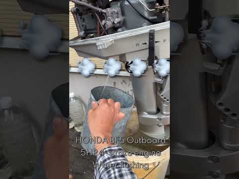 Honda BF5A 5HP 4-stroke Outboard engine idling for salt water flushing