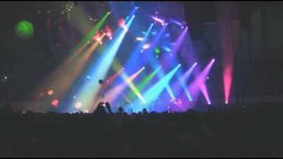 Hampton Night 1 - Possum