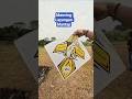 dapat panjang ketua #layanganputus #kite #ngejarlayanganputus #berburulayanganputus