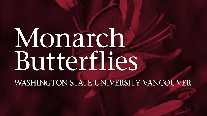 Monarch butterflies disappearing from western Nort...