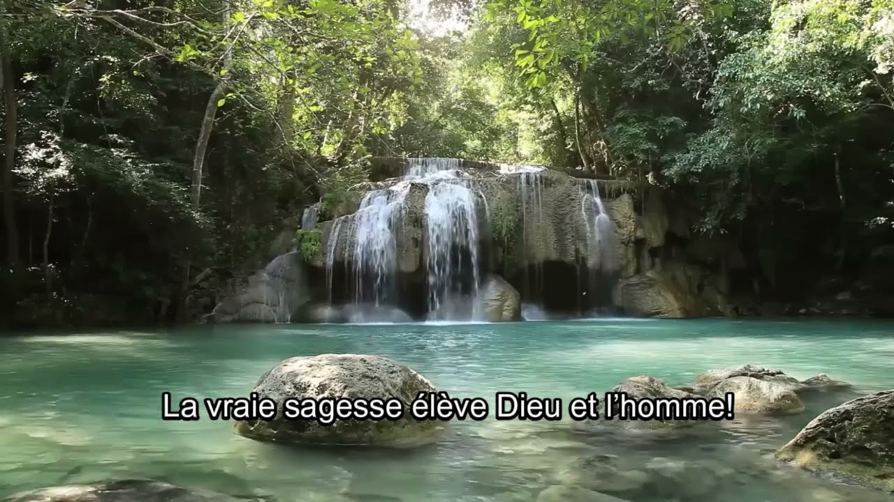 Méditation quotidienne CDCV 2026 Mercredi 11 Février